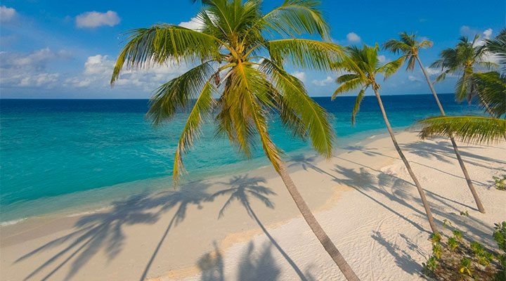 imgi_39_Milaidhoo-Palms