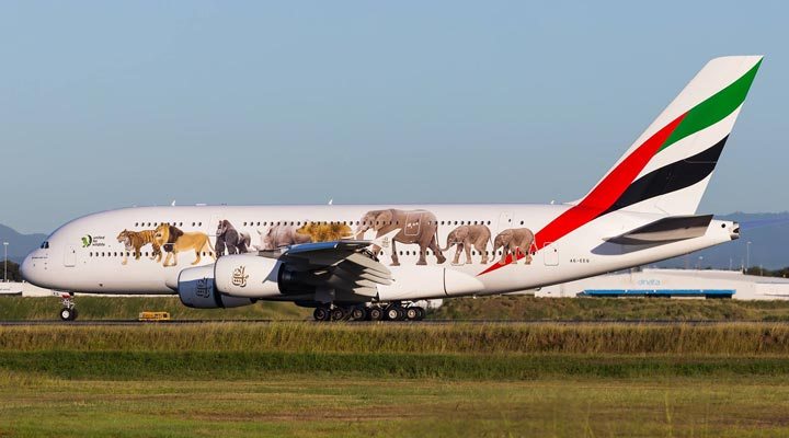 Emirates-Animal-Plane
